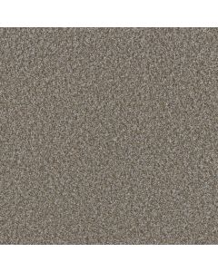 Dreamweaver Timberline I Cedar Key Carpet - DW-6345-5197