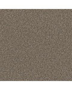 Dreamweaver Timberline II Butterfly Carpet - DW-6355-5295