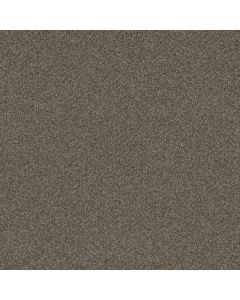 Dreamweaver Blazer II Fawn Carpet - DW-6360-6005