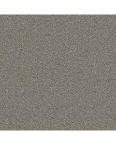 Dreamweaver Blazer II Dogwood Carpet - DW-6360-6077