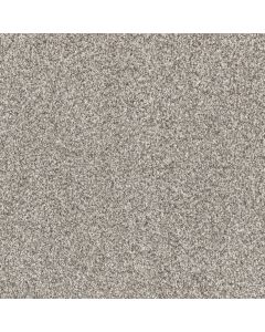 Dreamweaver Affinity II Wheat Carpet - DW-6362-2650