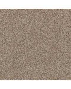 Dreamweaver Timberline III Sunshine Carpet - DW-6365-4528