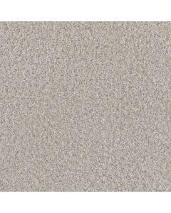 Dreamweaver Timberline III Lush Gardenia Carpet - DW-6365-4643