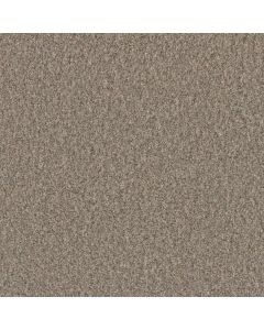 Dreamweaver Timberline III Cozy Path Carpet - DW-6365-5073