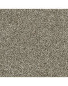 Dreamweaver Mirage I Bold Nature Carpet - DW-6740-5036
