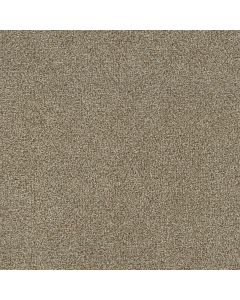 Dreamweaver Mirage II Butterscotch Carpet - DW-6750-5288