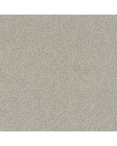 Dreamweaver Mirage III Natural Vibes Carpet - DW-6760-5253