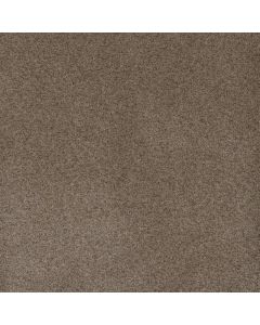 Dreamweaver Serene I Shellbark Carpet - DW-7140-2251