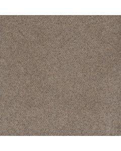 Dreamweaver Serene I Shining Star Carpet - DW-7140-2292