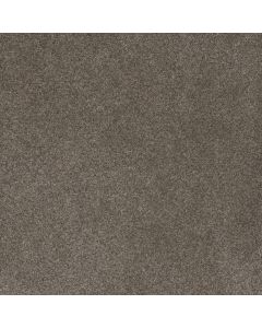 Dreamweaver Serene II Ridgeview Carpet - DW-7150-2245