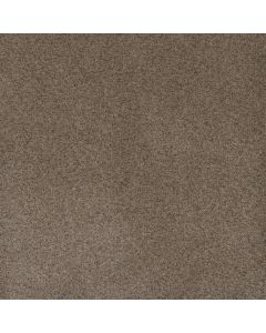 Dreamweaver Serene II Shellbark Carpet - DW-7150-2251