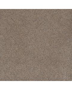 Dreamweaver Serene II Shining Star Carpet - DW-7150-2292