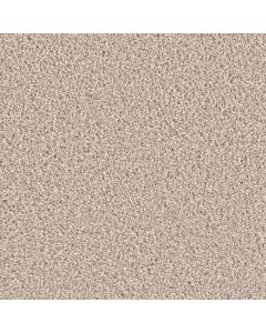 Dreamweaver Exceptional II Cameo Carpet - DW-7404-174