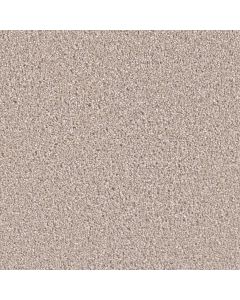 Dreamweaver Exceptional II Clam Shell Carpet - DW-7404-182