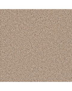 Dreamweaver Exceptional II Iced Coffee Carpet - DW-7404-373