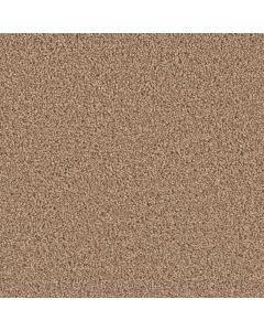 Dreamweaver Exceptional II Sable Carpet - DW-7404-510