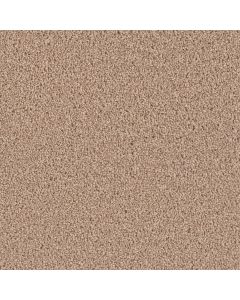 Dreamweaver Exceptional II Doeskin Carpet - DW-7404-530