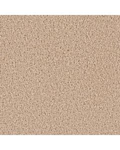 Dreamweaver Exceptional II Cashmere Carpet - DW-7404-580