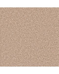 Dreamweaver Exceptional II Sawgrass Carpet - DW-7404-701