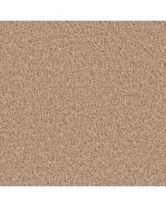 Dreamweaver Exceptional II Buff Carpet - DW-7404-720