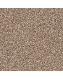 Dreamweaver Exceptional II Dove Carpet - DW-7404-725