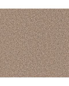 Dreamweaver Exceptional II Tigris Carpet - DW-7404-770