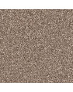 Dreamweaver Exceptional II Tumbleweed Carpet - DW-7404-829