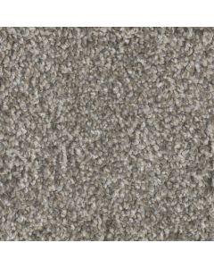 Dreamweaver Jackson Hole I Edgewood Carpet - DW-7543-138