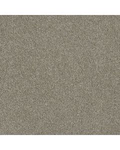 Dreamweaver Luxor I Rhinestone Carpet - DW-7740-116
