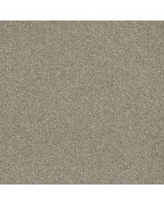 Dreamweaver Luxor I Outback Carpet 298