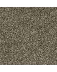 Dreamweaver Luxor I Island Spice Carpet 307