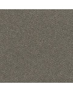 Dreamweaver Luxor I Smooth Sailing Carpet - DW-7740-641