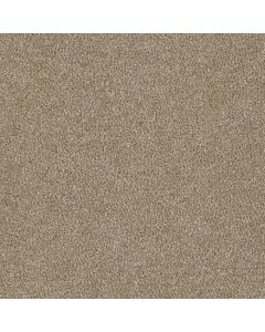Dreamweaver Luxor I Sawgrass Carpet - DW-7740-701