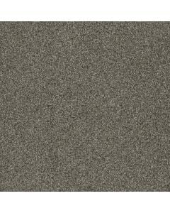 Dreamweaver Luxor II Monaco Carpet 244
