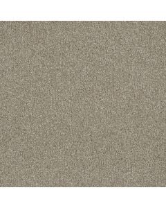 Dreamweaver Luxor II Outback Carpet 298