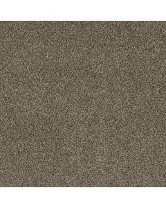 Dreamweaver Luxor II Island Spice Carpet 307