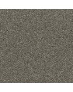 Dreamweaver Luxor II Smooth Sailing Carpet 641