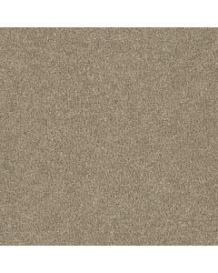 Dreamweaver Luxor II Sawgrass Carpet 701