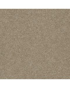 Dreamweaver Luxor III Sawgrass Carpet - DW-7760-701