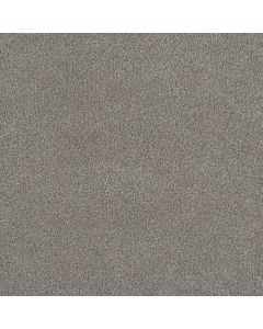 Dreamweaver Monte Carlo III Winterscape Carpet - DW-8200-6040