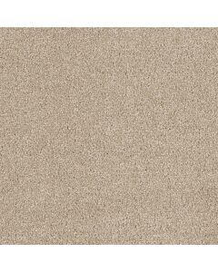 Dreamweaver Hollywood Cashmere Carpet - DW-8232-580