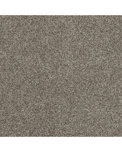 Dreamweaver Hollywood Baltic Birch Carpet - DW-8232-622