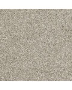 Dreamweaver Hollywood Orion Carpet - DW-8232-780