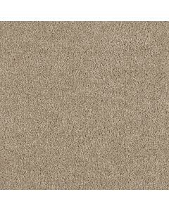 Dreamweaver Hollywood Warm Teak Carpet - DW-8232-784
