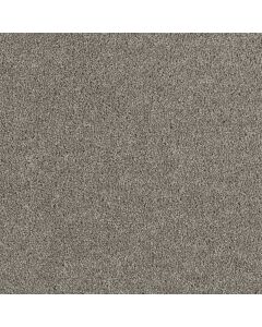 Dreamweaver Hollywood Dark Platinum Carpet - DW-8232-889