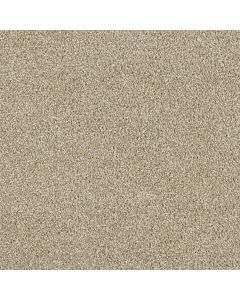 Dreamweaver Hollywood Oyster Shoal Carpet - DW-8232-912