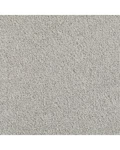 Dreamweaver Pretty Penny III Nimbus Carpet - DW-8275-2838
