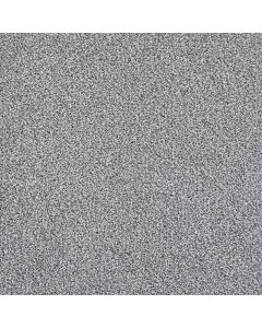 Dreamweaver Pretty Penny III North Star Carpet - DW-8275-4075