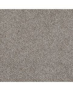 Dreamweaver Pretty Penny III Tiramisu Carpet - DW-8275-4482