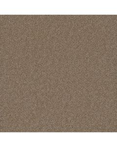 Dreamweaver Cosmopolitan II Straw Carpet - DW-8550-551